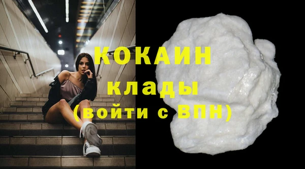твердый Богородск