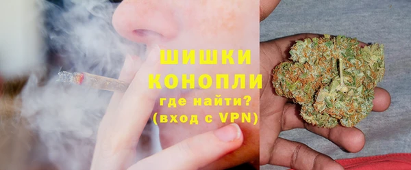твердый Богородск