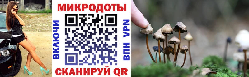 Купить где Алупка Галлюциногенные грибы Psilocybine cubensis